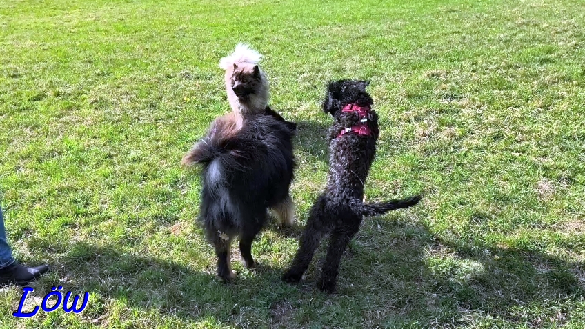 8.4.2025 - Pausenspa&szlig;